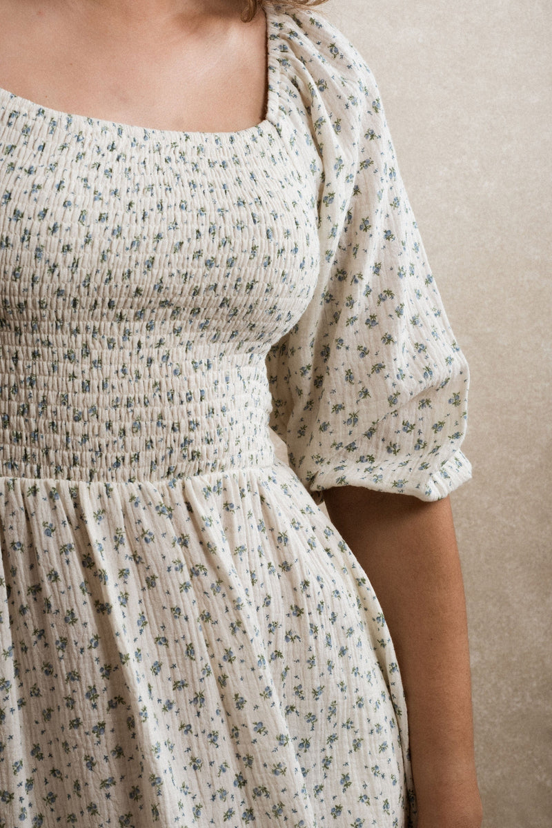 Hartselle Dress - Blue Floral