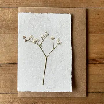 Baby's Breath Pressed Flower Card